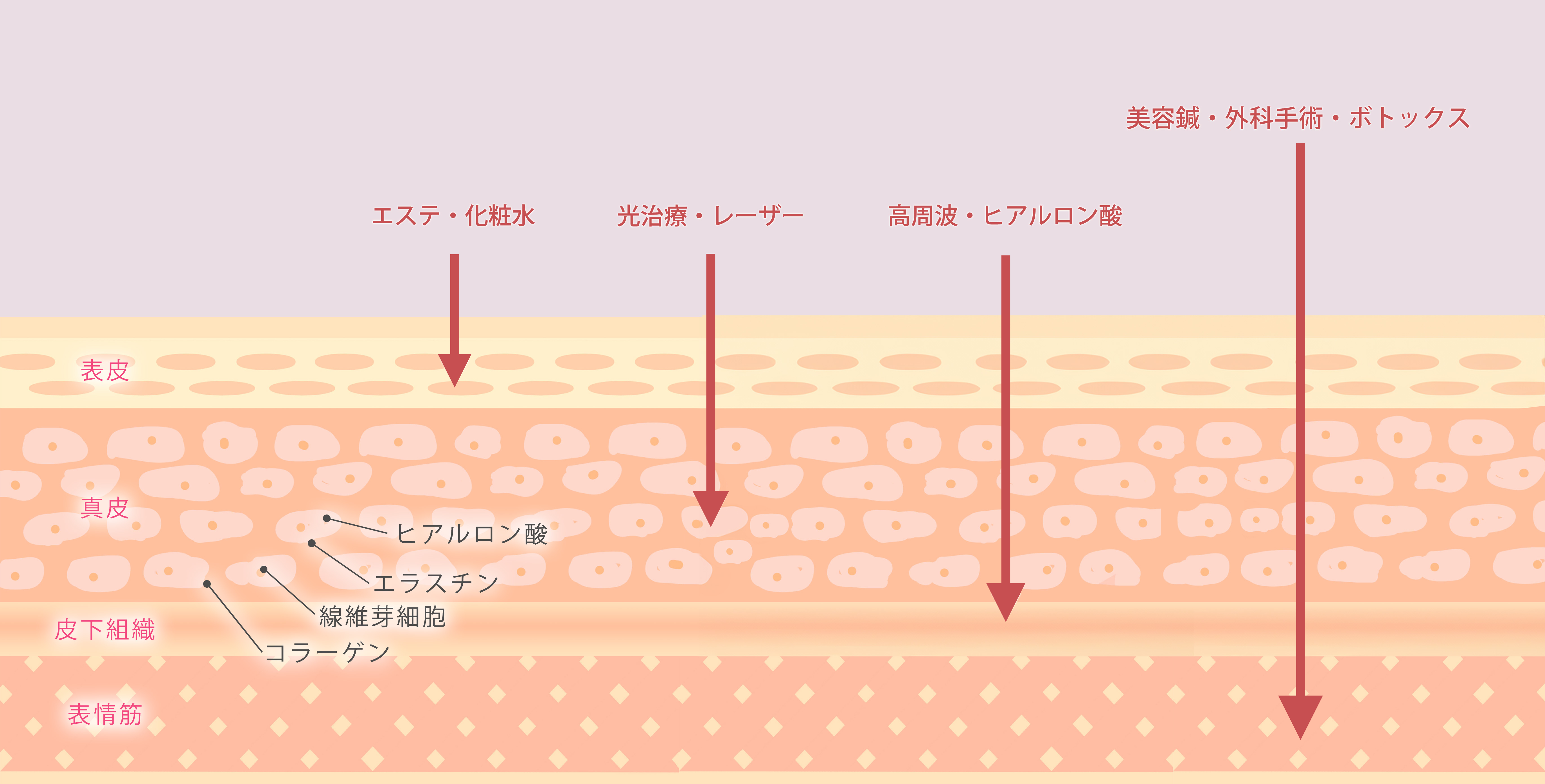 図.jpg